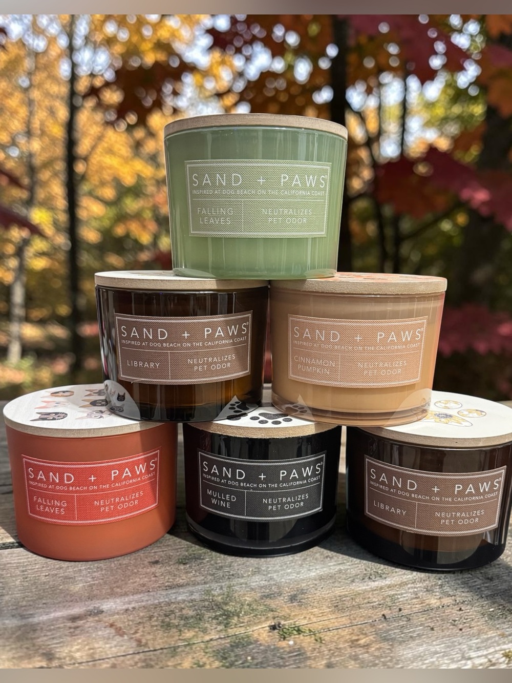 SAND + PAWS Two Wick Odor Neutralizing Scented Candle 12 Oz $28 Retail NEW